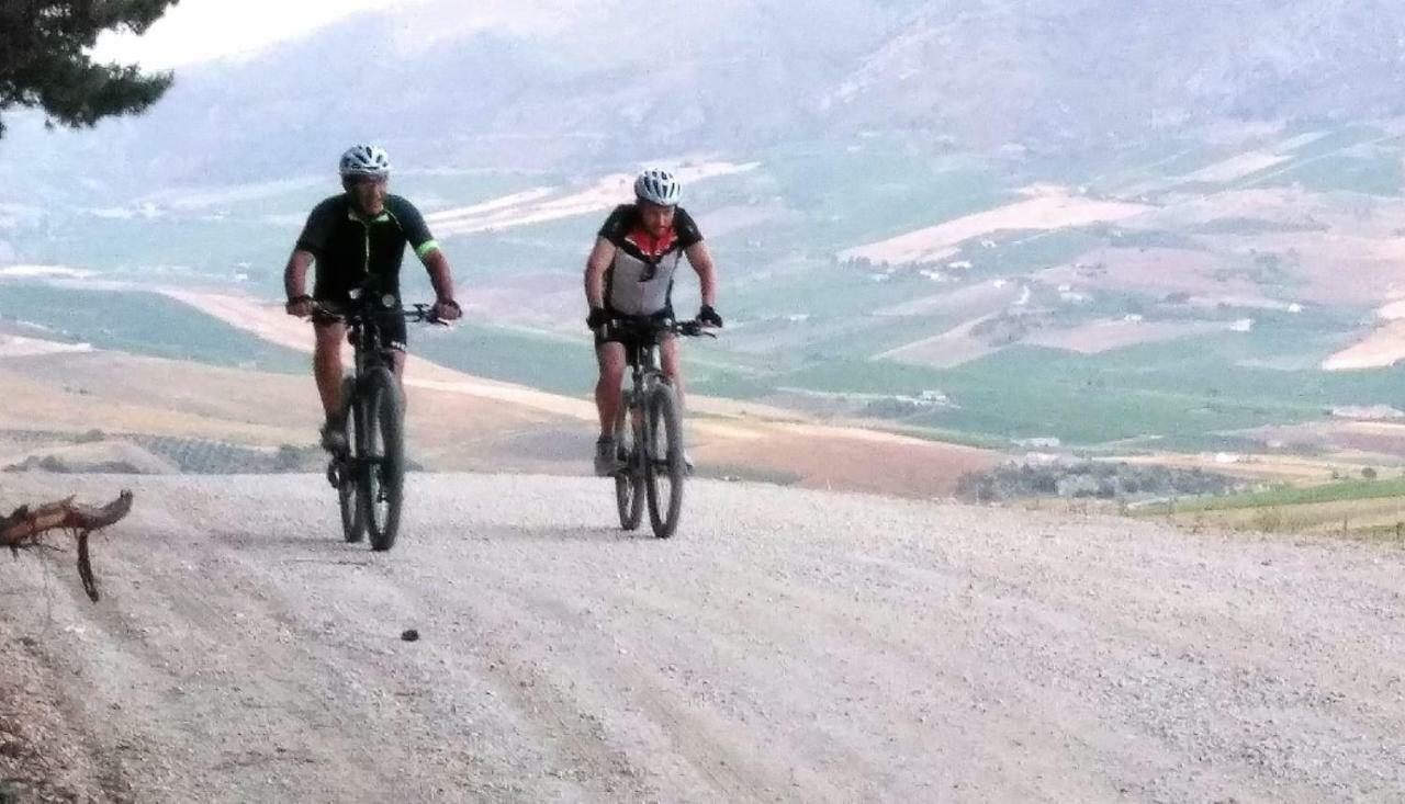 La Dimora Di Segesta B&B กาลาตาฟีมี ภายนอก รูปภาพ